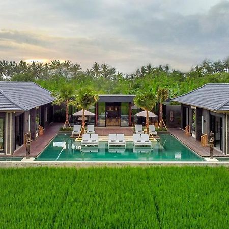 Villa Luna Lotus By Balisuperhost Ubud  Ngoại thất bức ảnh